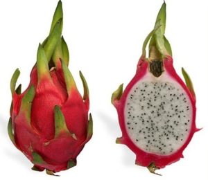 Dragonfruit