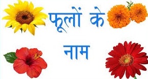 Flowers Name In Hindi And English 100 À¤« À¤² À¤• À¤¨ À¤®