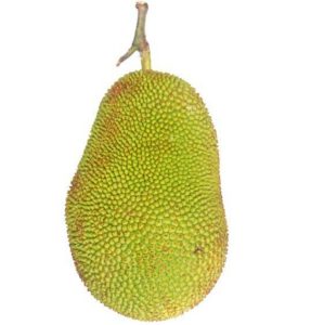 Jackfruit