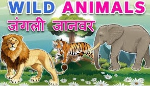 जंगली जानवरों के नाम | Jangli Janwar Ke Naam