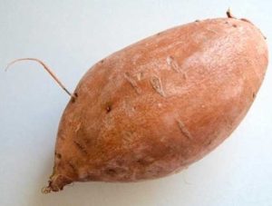 Sweet Potato