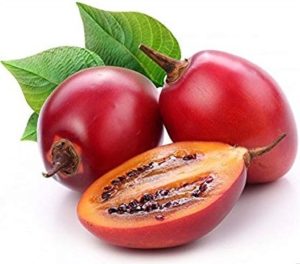 Tamarillo